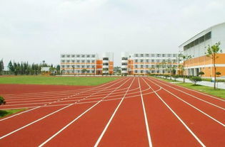 苏州硅PU塑胶跑道承建与塑料跑道生产 打造安全环保的运动空间