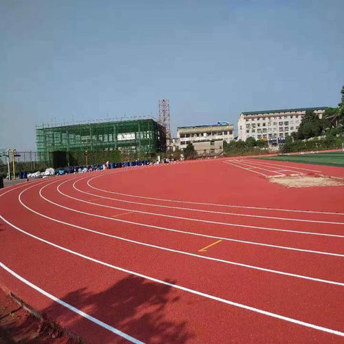 塑胶跑道厂家、材料与价格全解析 复合型塑胶跑道生产指南